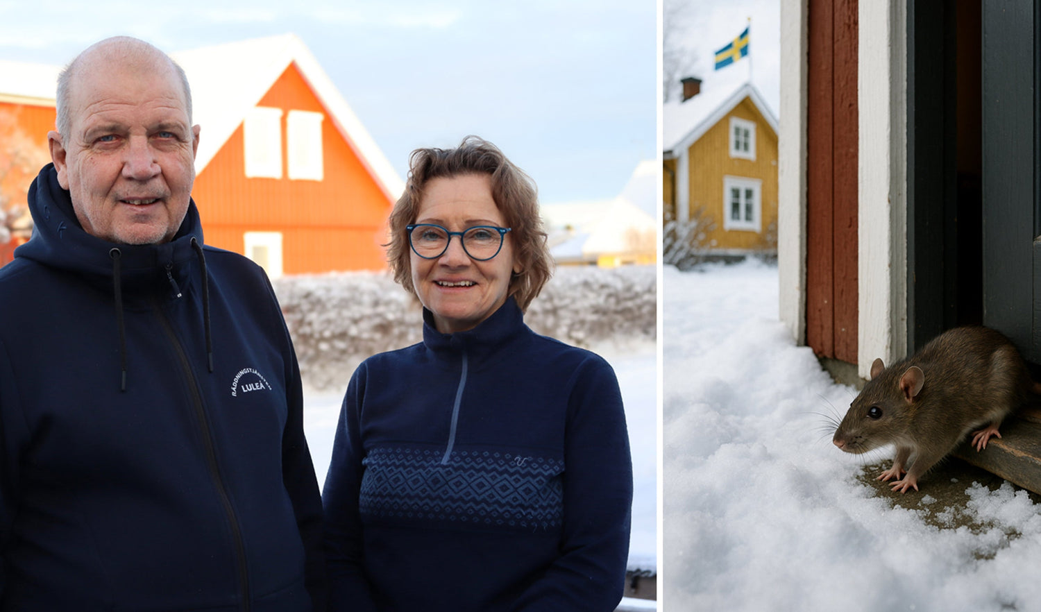 Råttinvasionen efter renoveringen – då hittade Roger och Ann lösningen