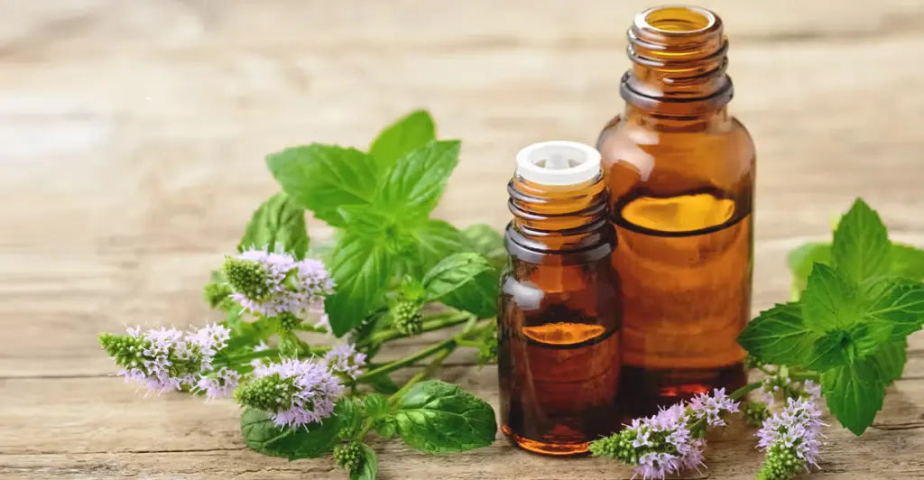 10 husmorstips mot möss – Så håller du gnagarna borta naturligt