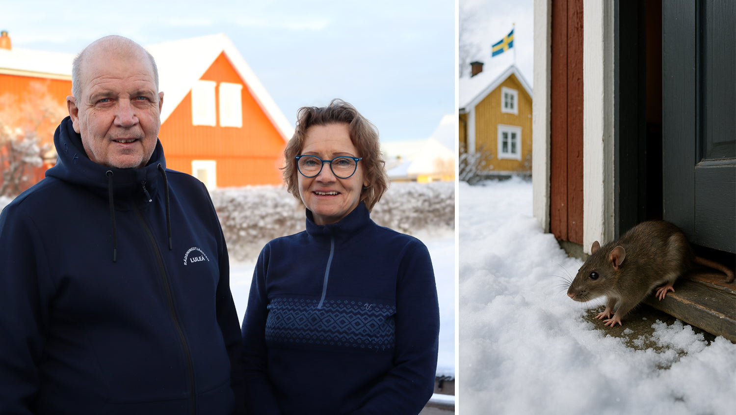 Råttinvasionen efter renoveringen – då hittade Roger och Ann lösningen