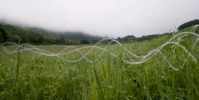 Biosoniskt ljud – Så fungerar miljövänlig skadedjursbekämpning