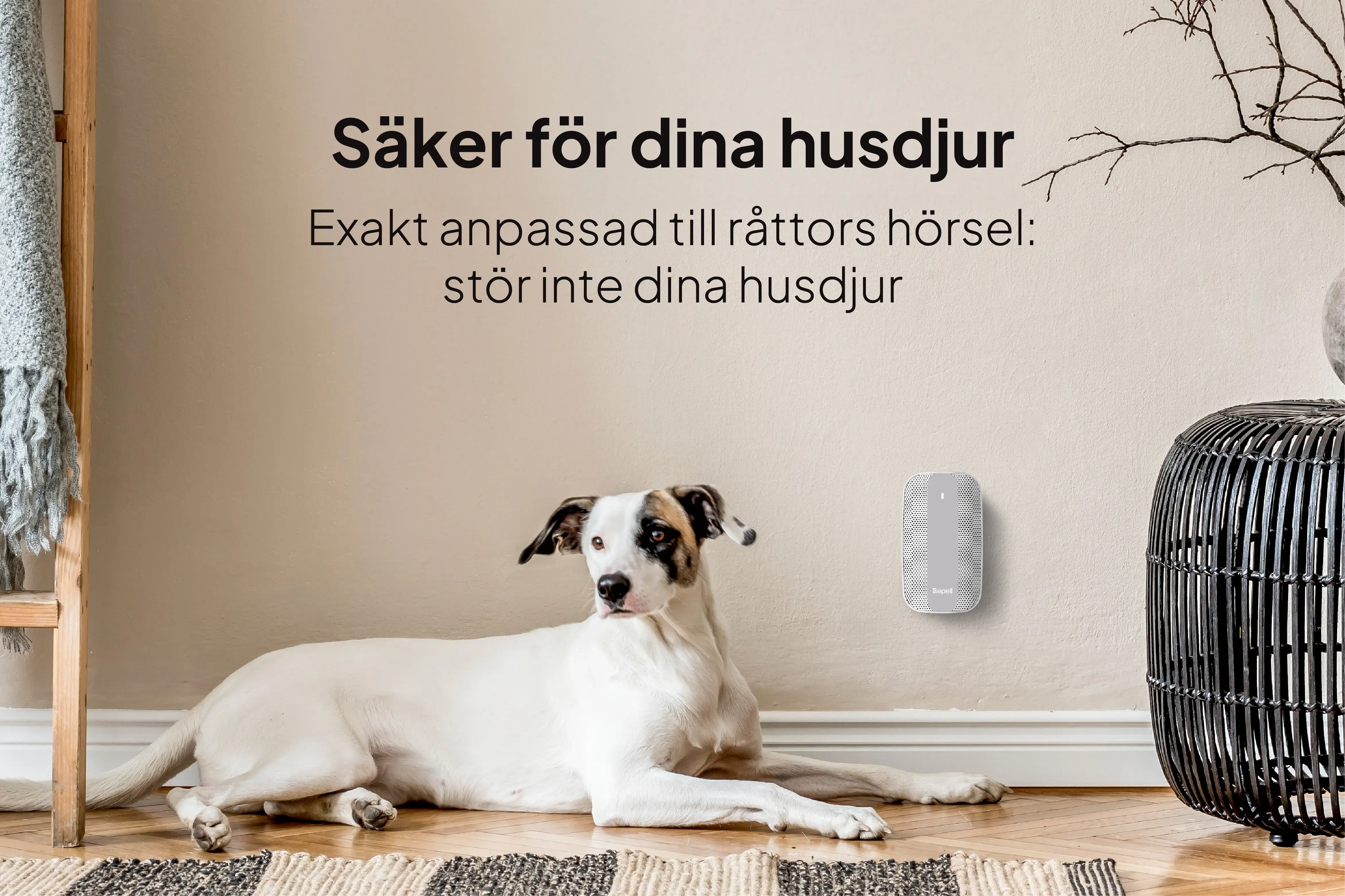 Råttskrämma 2-pc