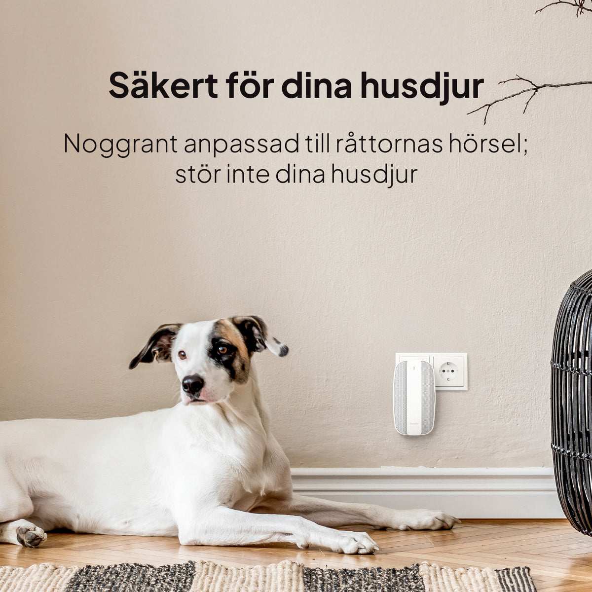Säker för hund och katt