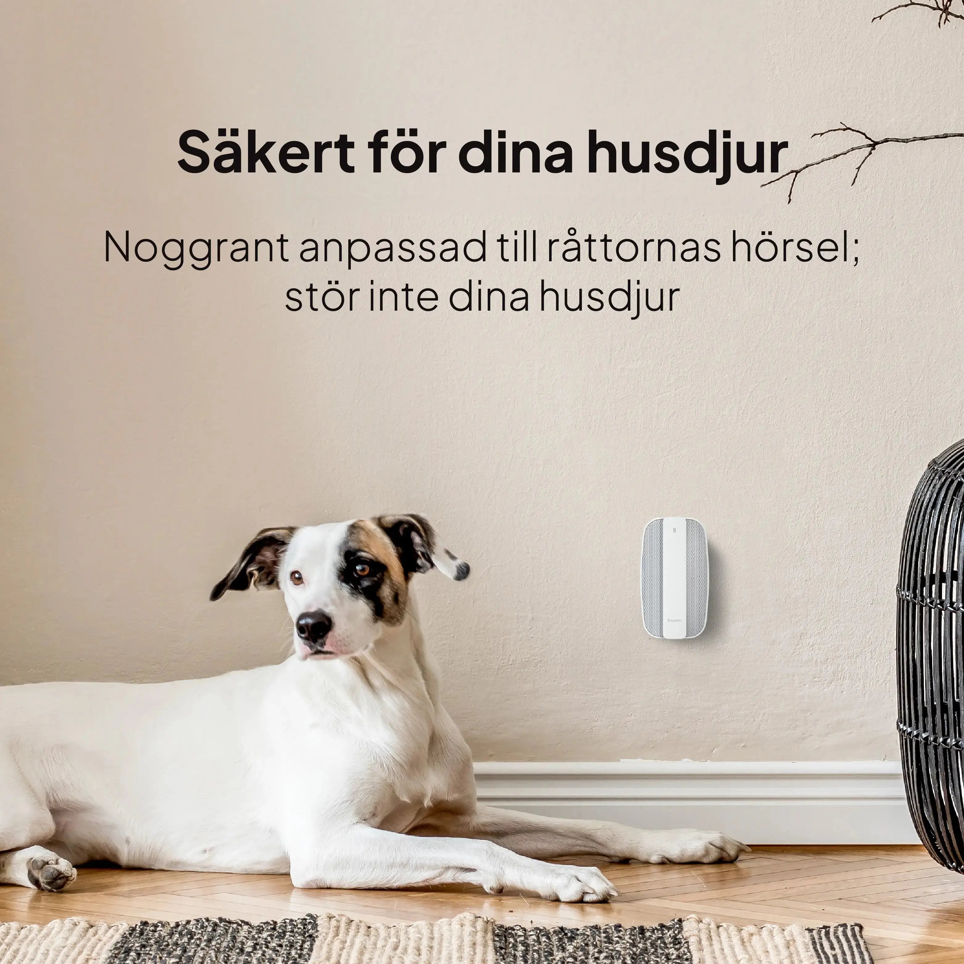 Repello råttskrämma